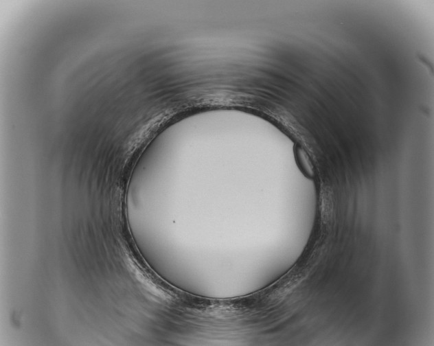 X0000100210445200806201448