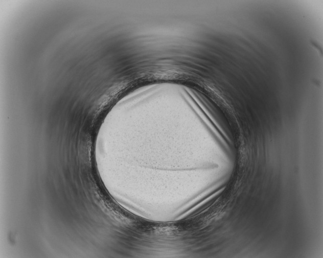 X0000100210446200806201448