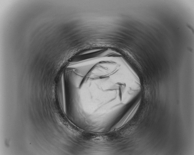X0000100210447200806201448