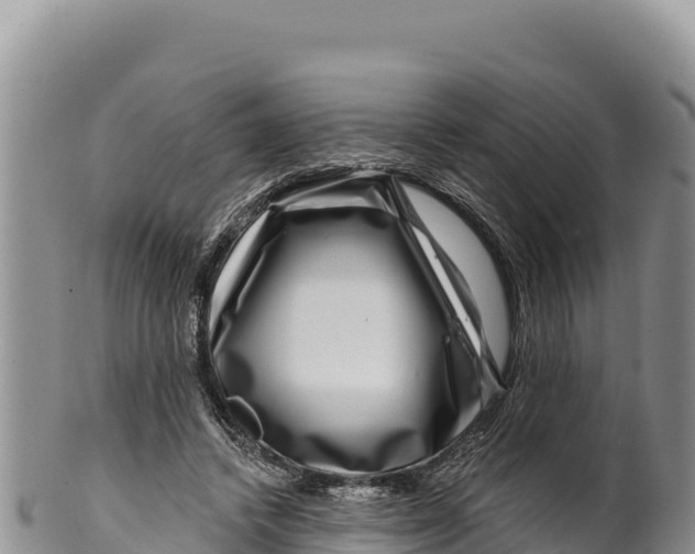 X0000100210448200806201448