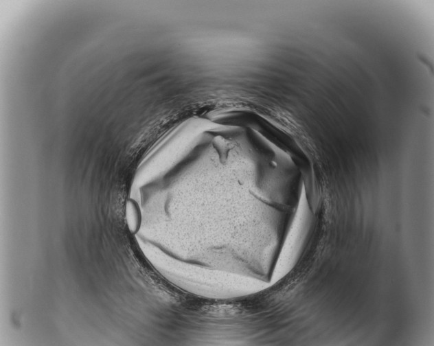 X0000100210449200806201448