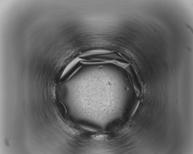 X0000100210452200806201448