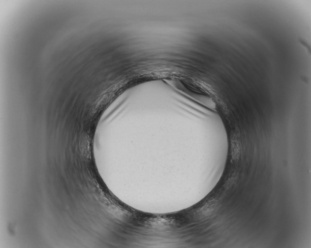 X0000100210453200806201448