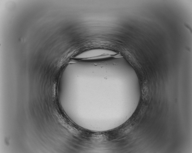 X0000100210454200806201448