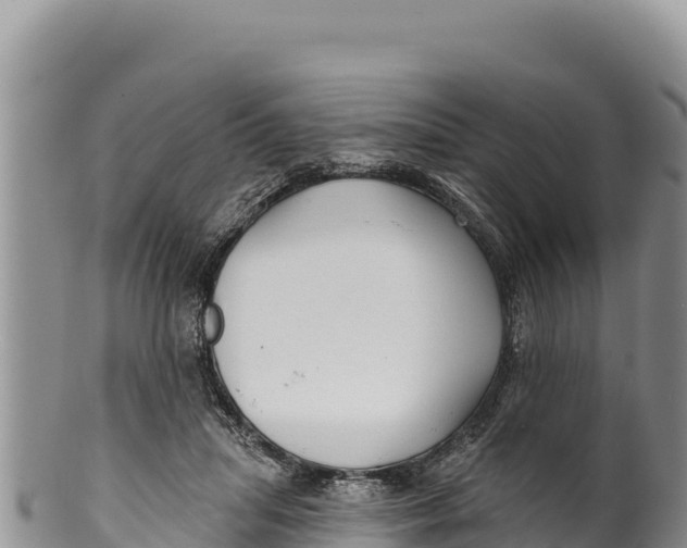 X0000100210455200806201448