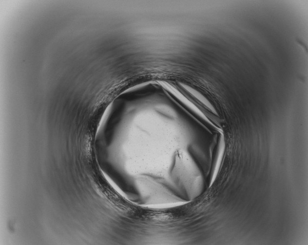 X0000100210456200806201448