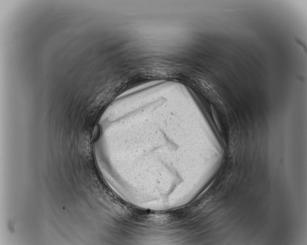 X0000100210457200806201448