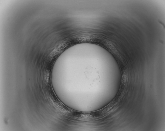 X0000100210458200806201448