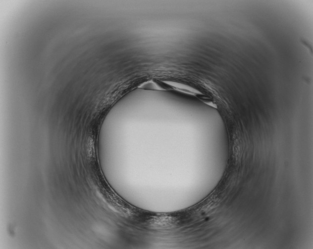 X0000100210459200806201448