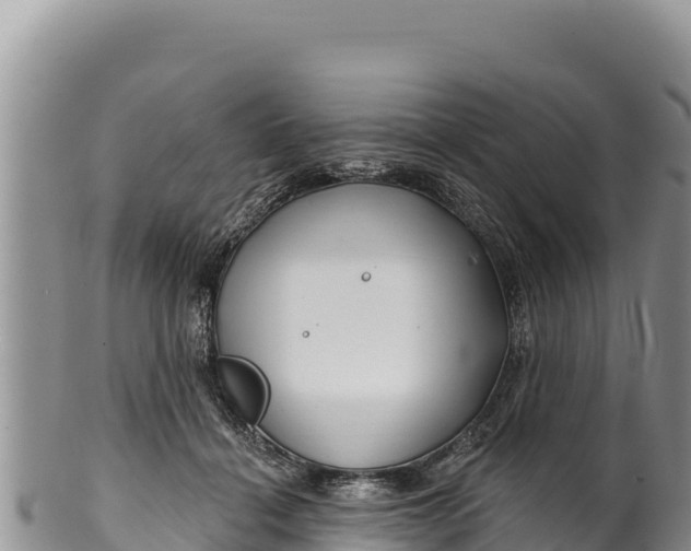 X0000100210460200806201448