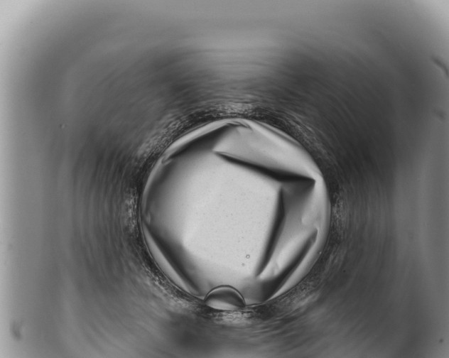X0000100210462200806201448