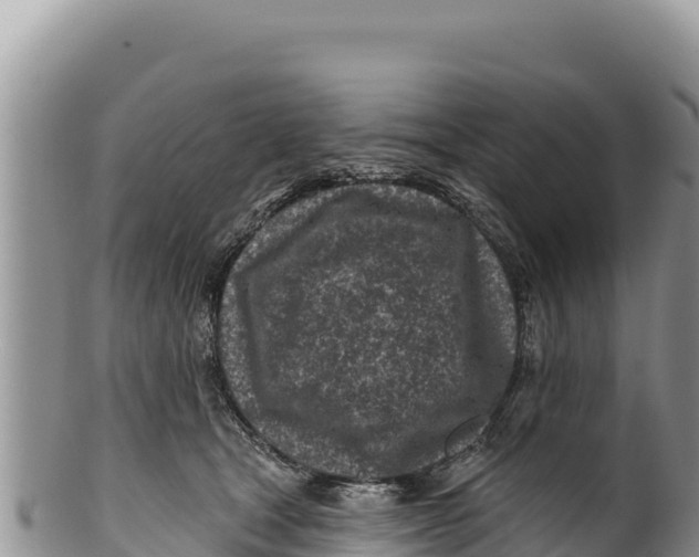 X0000100210465200806201449