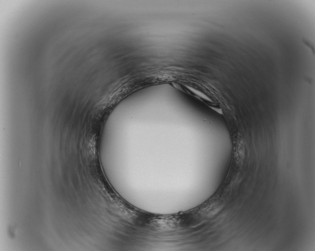 X0000100210466200806201449