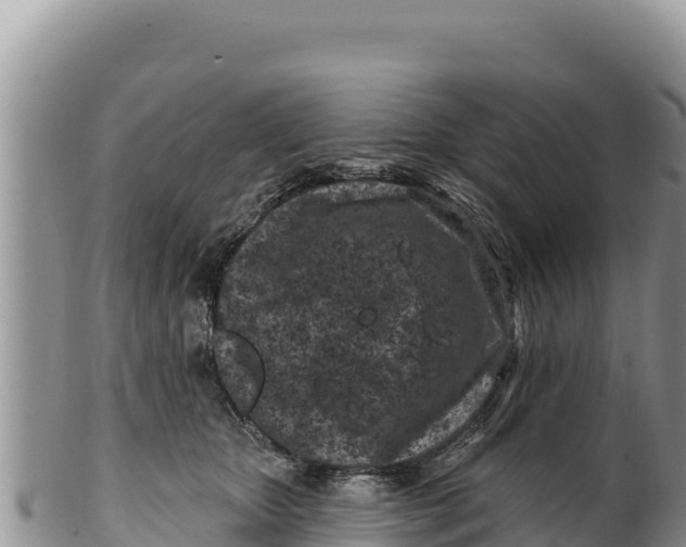 X0000100210467200806201449
