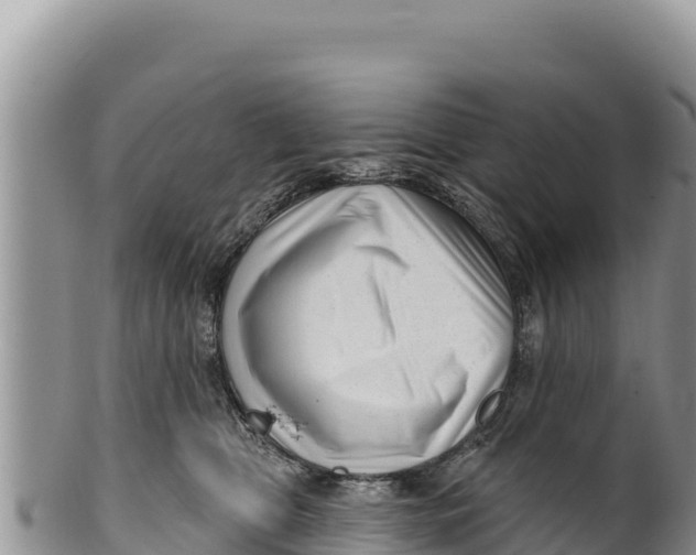 X0000100210469200806201449