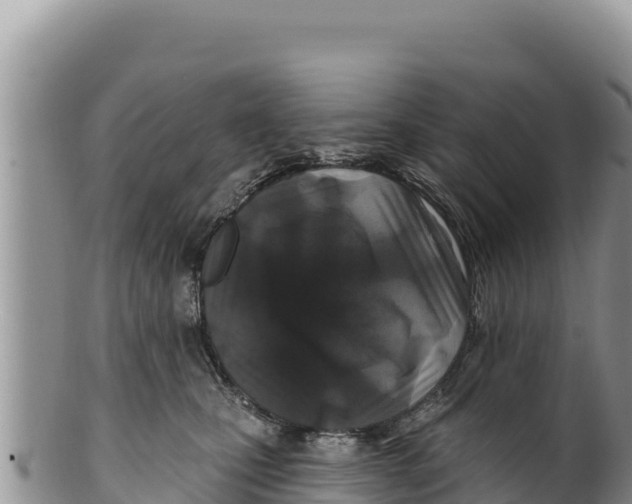 X0000100210471200806201449