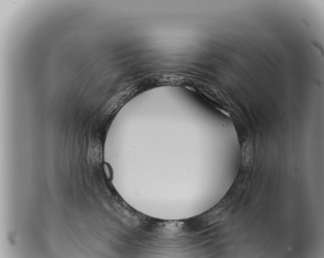 X0000100210474200806201449