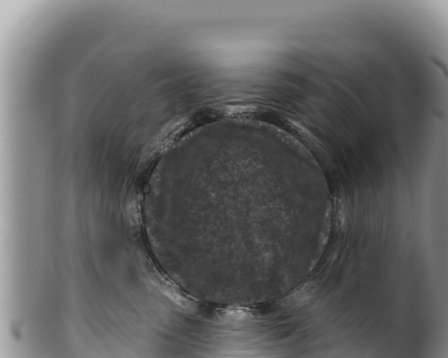 X0000100210475200806201449