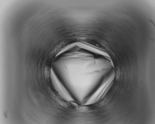 X0000100210476200806201449