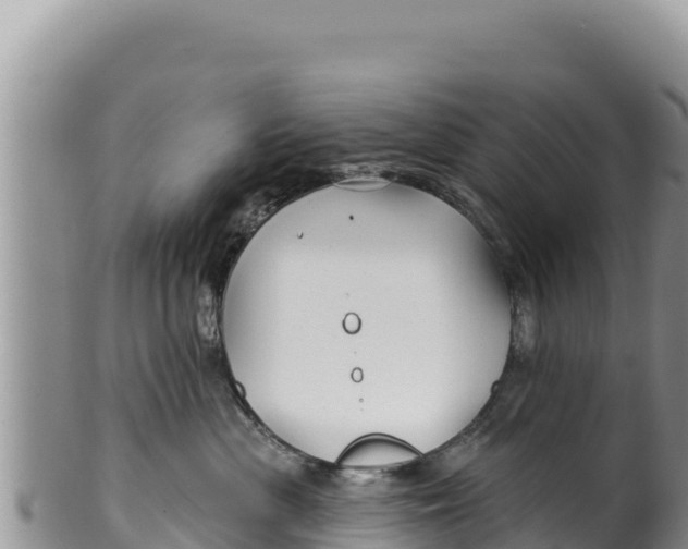 X0000100210477200806201449