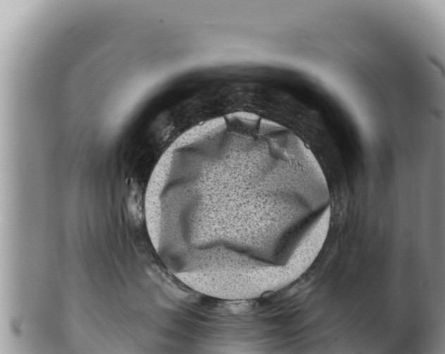 X0000100210479200806201449