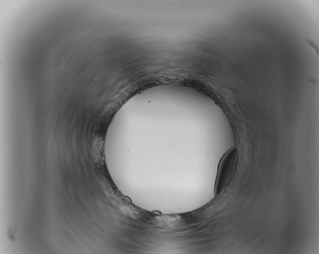 X0000100210480200806201449
