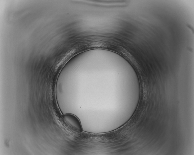X0000100210482200806201448