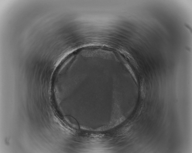 X0000100210484200806201448