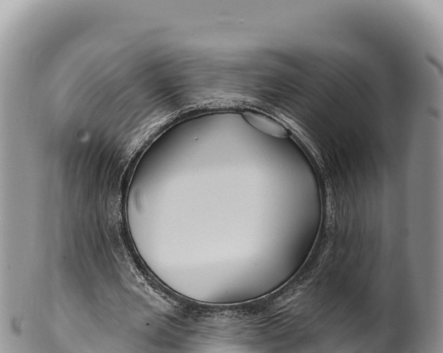 X0000100210485200806201448
