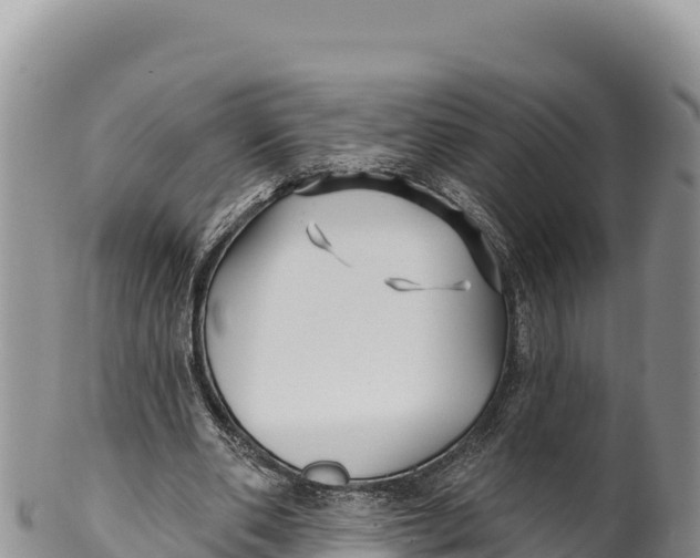 X0000100210486200806201448