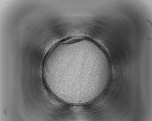 X0000100210487200806201448