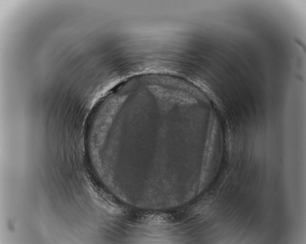 X0000100210488200806201448