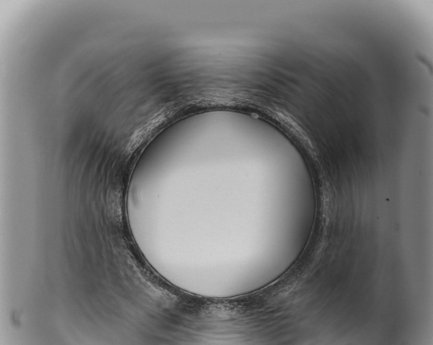 X0000100210489200806201448