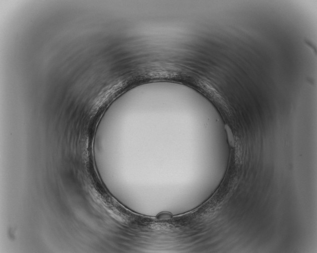 X0000100210490200806201448