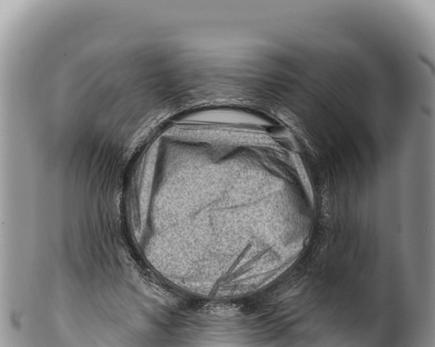 X0000100210491200806201448