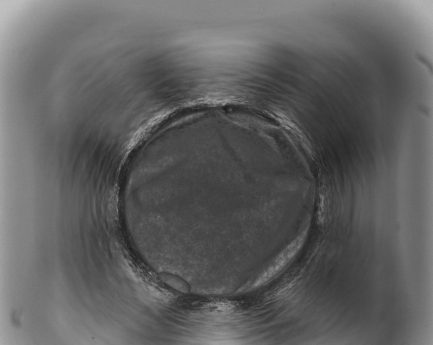 X0000100210492200806201448