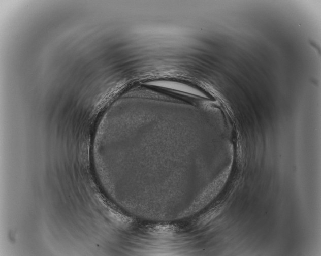 X0000100210493200806201448