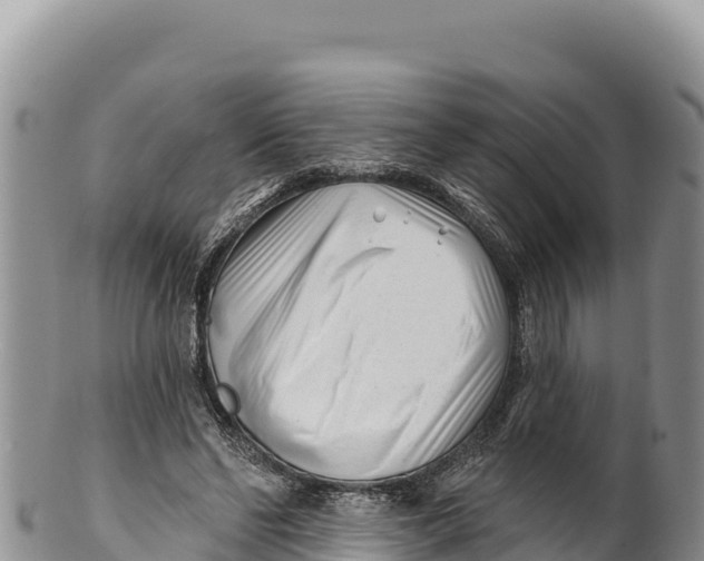 X0000100210494200806201448