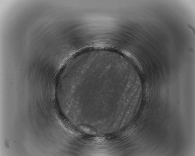 X0000100210496200806201448