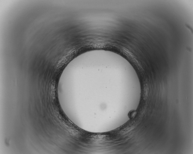 X0000100210497200806201448