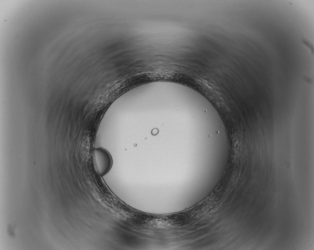X0000100210498200806201448