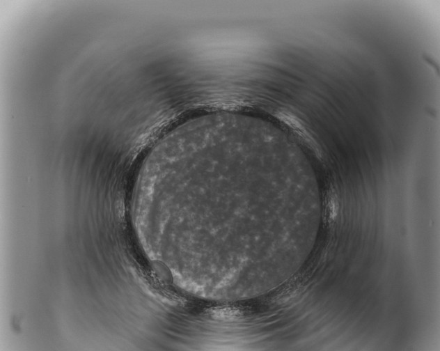 X0000100210500200806201448