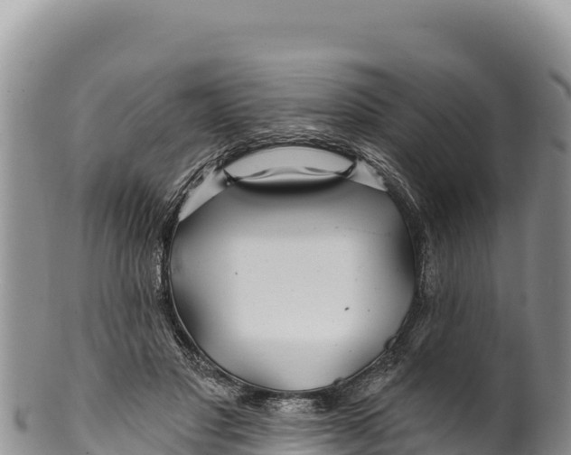 X0000100210501200806201448