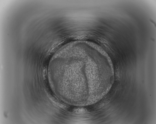 X0000100210503200806201448