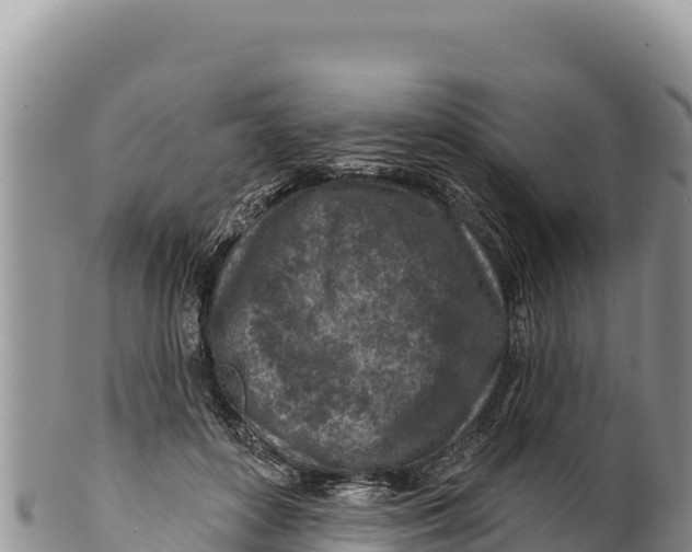 X0000100210504200806201448