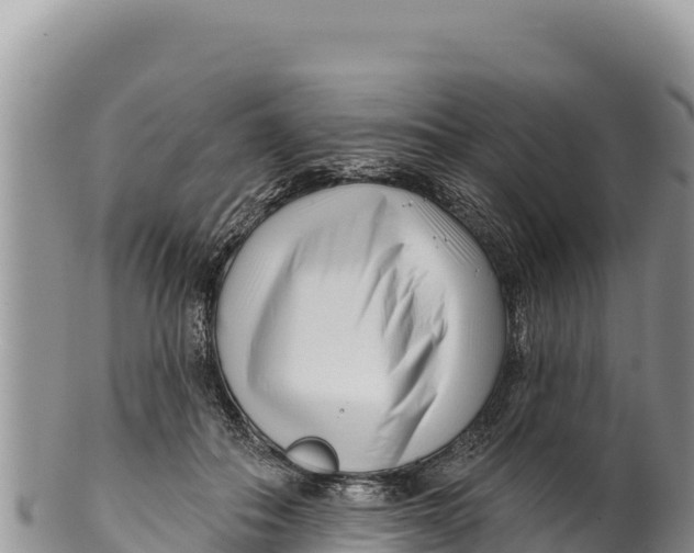 X0000100210506200806201448