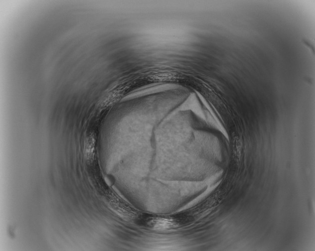 X0000100210507200806201448