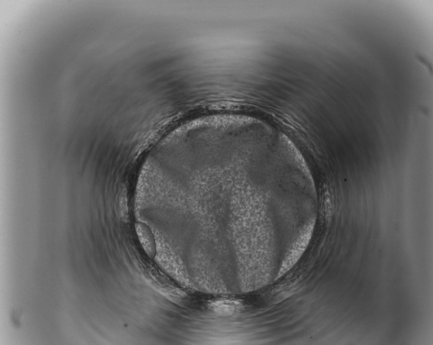 X0000100210508200806201448