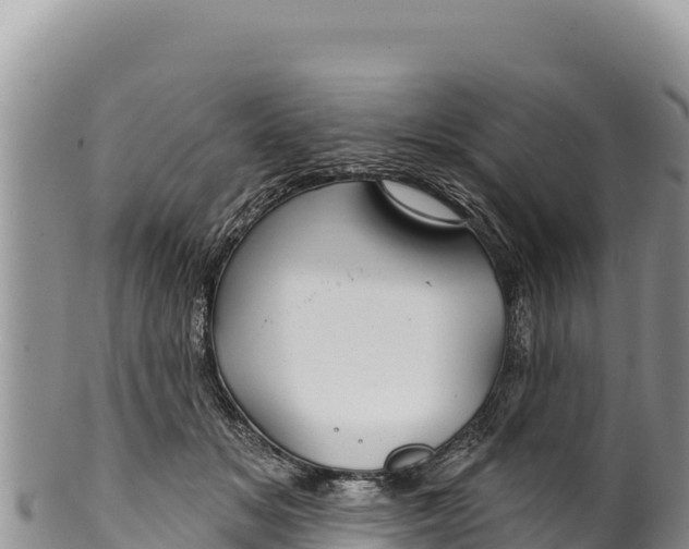 X0000100210509200806201448