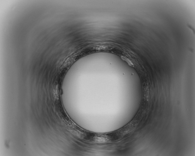 X0000100210510200806201448